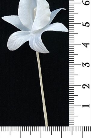 30-132 Virág - fehér orchidea