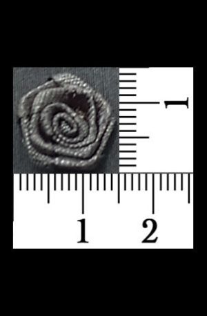 30-150 Virág - Fekete rozetta