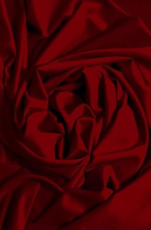 44-250-037 Bordó elasztikus matt zsorzsett