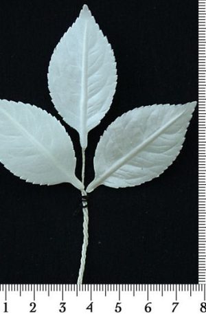 30-180 Levél - krém