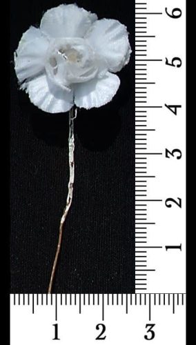 30-082.jpg