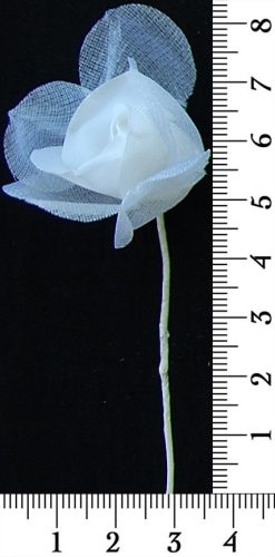 30-157.jpg
