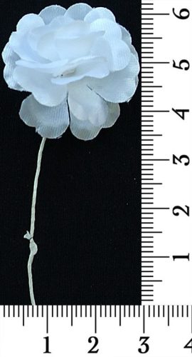 30-168.jpg