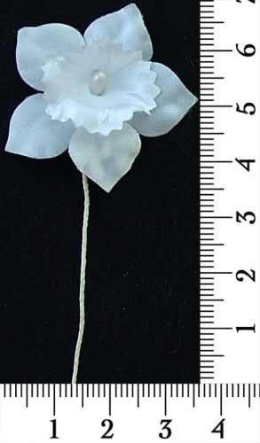 30-169.jpg