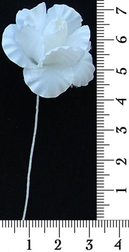 30-173.jpg