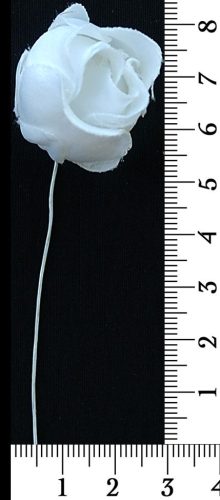 30-174.jpg